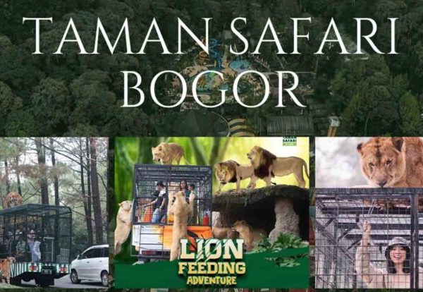 Harga Tiket Masuk Taman Safari Bogor 2021